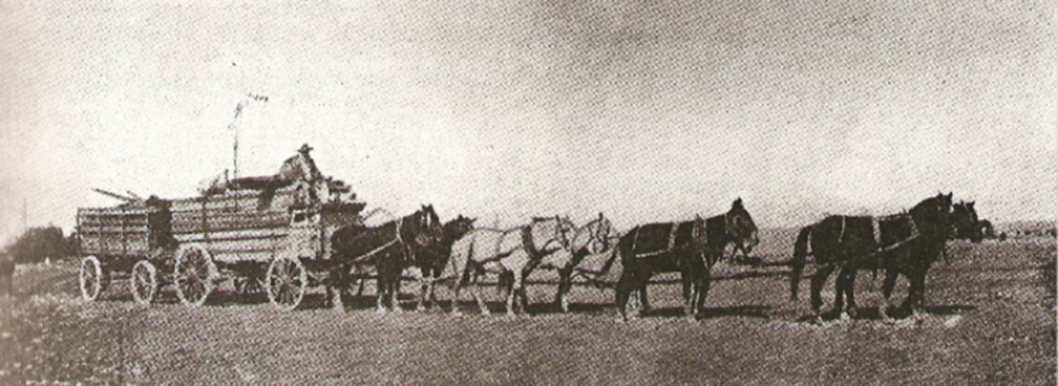 wagon